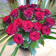 A luxury dozen red roses