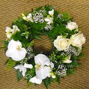 Orchid Wreath